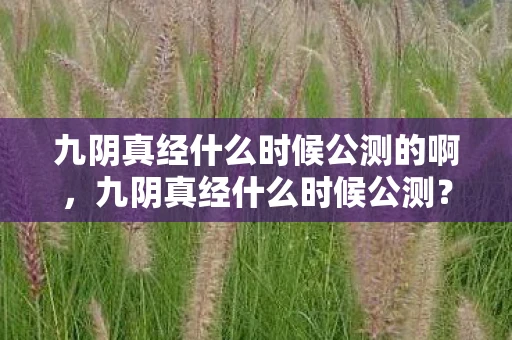 九阴真经什么时候公测的啊，九阴真经什么时候公测？揭秘经典武侠游戏的未来动向