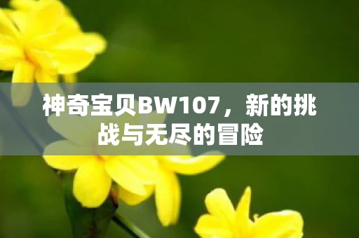 新的挑战与无尽的冒险图片