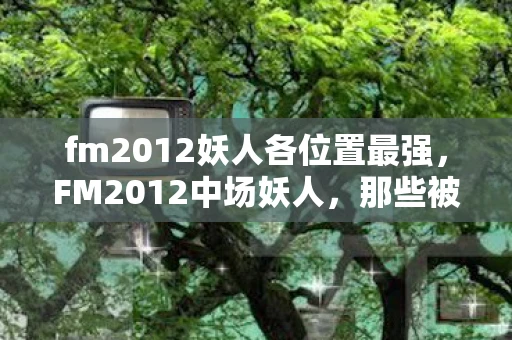 fm2012妖人各位置最强,FM2012中场妖人,那些被低估的足球天才 fm2012妖人各位置最强,FM2012中场妖人,那些被低估的足球天才