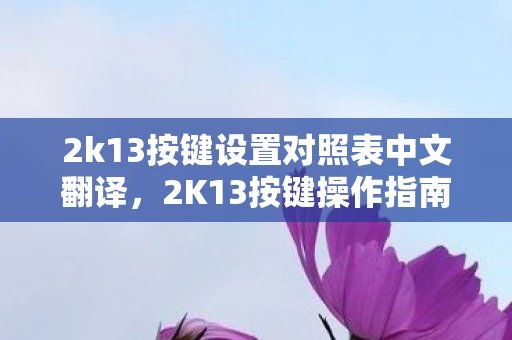 2k13按键设置对照表中文翻译,2K13按键操作指南,掌握篮球游戏精髓的秘诀 2k13按键设置对照表中文翻译,2K13按键操作指南,掌握篮球游戏精髓的秘诀