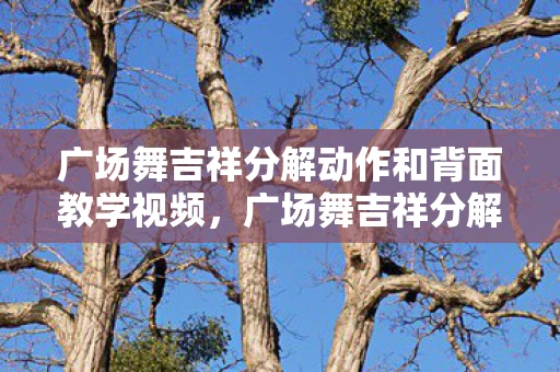 广场舞吉祥分解动作和背面教学视频,广场舞吉祥分解动作详解 广场舞吉祥分解动作和背面教学视频,广场舞吉祥分解动作详解
