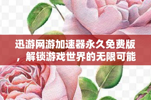 迅游网游加速器永久免费版，解锁游戏世界的无限可能