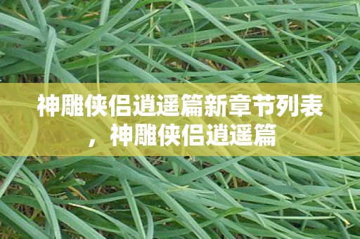 神雕侠侣逍遥篇新章节列表，神雕侠侣逍遥篇