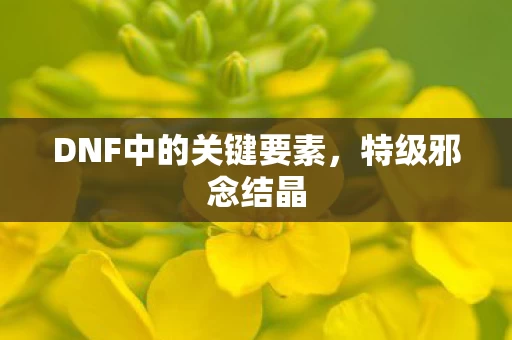 DNF中的关键要素图片