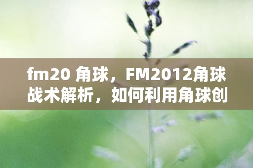 fm20 角球，FM2012角球战术解析，如何利用角球创造进攻机会