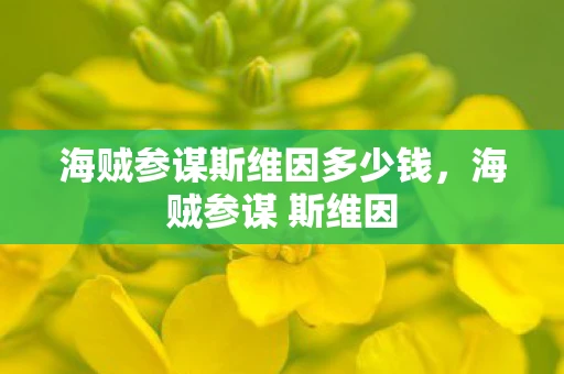 海贼参谋斯维因多少钱,海贼参谋 斯维因 海贼参谋斯维因多少钱,海贼参谋 斯维因