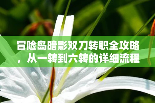 冒险岛暗影双刀转职全攻略图片