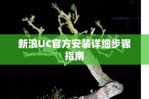 新浪UC官方安装详细步骤指南图片