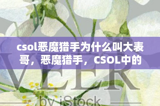 csol恶魔猎手为什么叫大表哥,恶魔猎手,CSOL中的传奇角色 csol恶魔猎手为什么叫大表哥,恶魔猎手,CSOL中的传奇角色