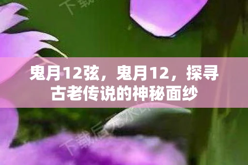 鬼月12弦，鬼月12，探寻古老传说的神秘面纱