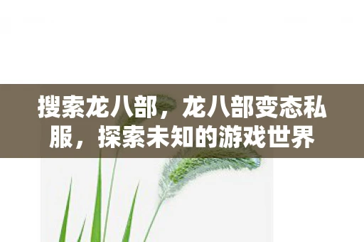 搜索龙八部,龙八部变态私服,探索未知的游戏世界 搜索龙八部,龙八部变态私服,探索未知的游戏世界