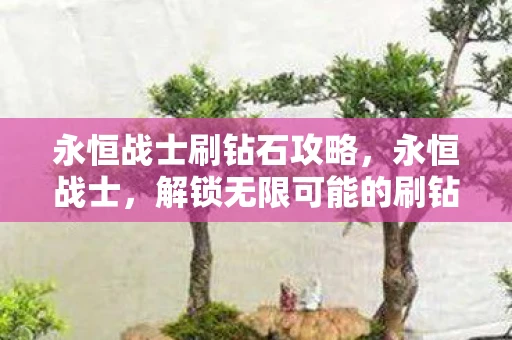 永恒战士刷钻石攻略，永恒战士，解锁无限可能的刷钻石攻略