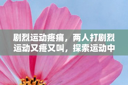 剧烈运动疼痛,两人打剧烈运动又疼又叫,探索运动中的疼痛与快感 剧烈运动疼痛,两人打剧烈运动又疼又叫,探索运动中的疼痛与快感