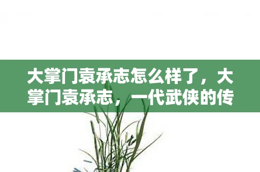 大掌门袁承志怎么样了，大掌门袁承志，一代武侠的传奇人生