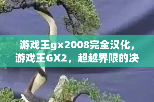游戏王gx2008完全汉化，游戏王GX2，超越界限的决斗盛宴