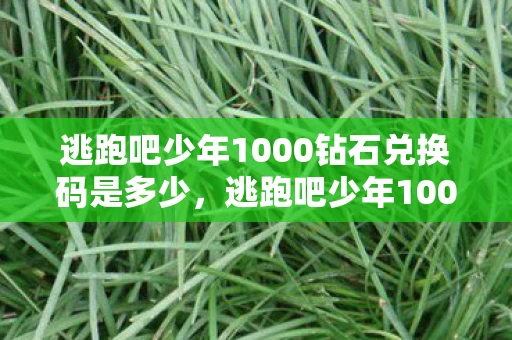 逃跑吧少年1000钻石兑换码是多少,逃跑吧少年1000钻石兑换码大放送! 逃跑吧少年1000钻石兑换码是多少,逃跑吧少年1000钻石兑换码大放送!