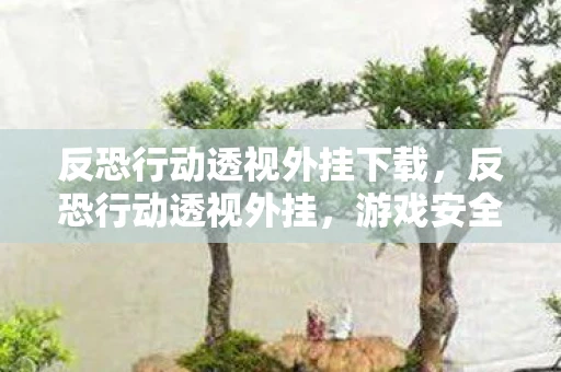 反恐行动透视外挂下载,反恐行动透视外挂,游戏安全的警钟 反恐行动透视外挂下载,反恐行动透视外挂,游戏安全的警钟