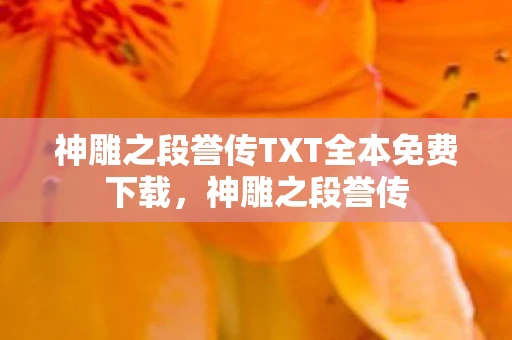 神雕之段誉传TXT全本免费下载，神雕之段誉传