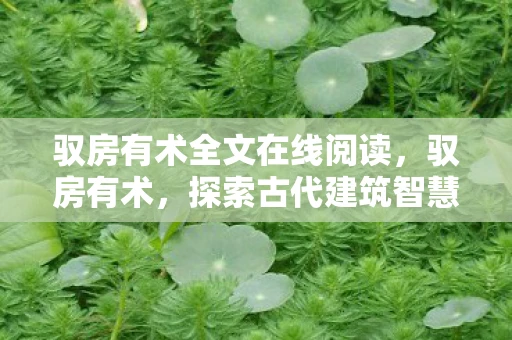 驭房有术全文在线阅读，驭房有术，探索古代建筑智慧与风水之道的免费阅读之旅