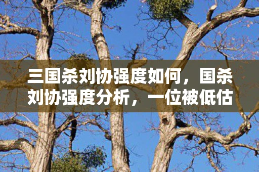 三国杀刘协强度如何，国杀刘协强度分析，一位被低估的帝王