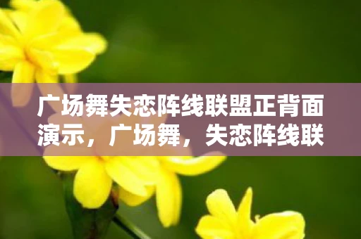 广场舞失恋阵线联盟正背面演示,广场舞,失恋阵线联盟的新篇章 广场舞失恋阵线联盟正背面演示,广场舞,失恋阵线联盟的新篇章