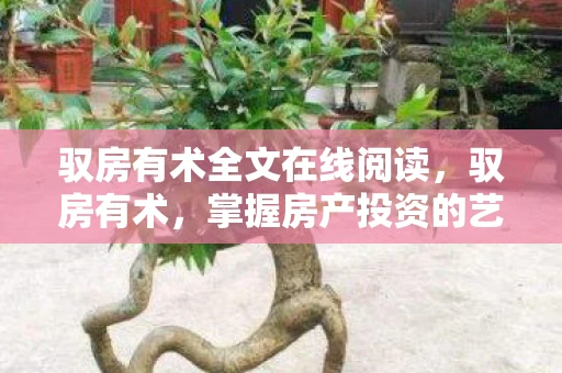 驭房有术全文在线阅读，驭房有术，掌握房产投资的艺术