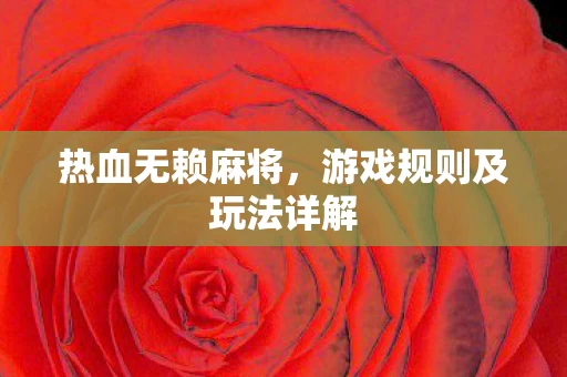 游戏规则及玩法详解图片