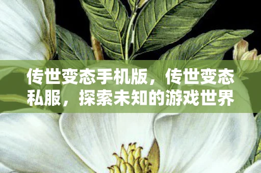 传世变态手机版，传世变态私服，探索未知的游戏世界