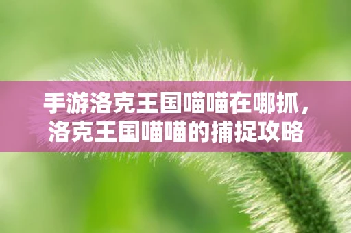手游洛克王国喵喵在哪抓,洛克王国喵喵的捕捉攻略 手游洛克王国喵喵在哪抓,洛克王国喵喵的捕捉攻略