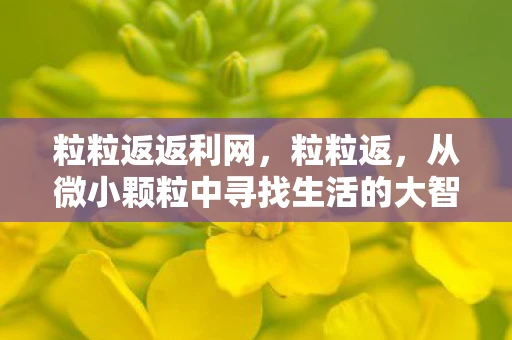 粒粒返返利网,粒粒返,从微小颗粒中寻找生活的大智慧 粒粒返返利网,粒粒返,从微小颗粒中寻找生活的大智慧