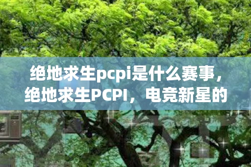 绝地求生pcpi是什么赛事，绝地求生PCPI，电竞新星的崛起与挑战