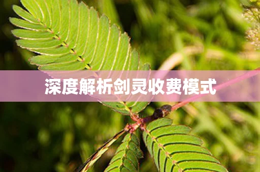 深度解析剑灵收费模式图片