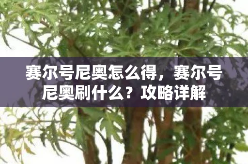 赛尔号尼奥怎么得,赛尔号尼奥刷什么?攻略详解 赛尔号尼奥怎么得,赛尔号尼奥刷什么?攻略详解