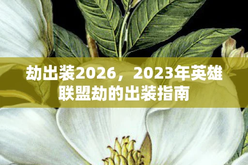 劫出装2026，2023年英雄联盟劫的出装指南