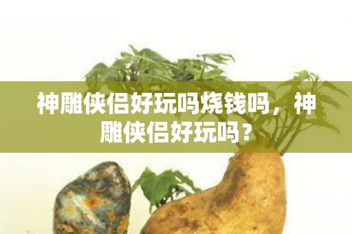 神雕侠侣好玩吗烧钱吗,神雕侠侣好玩吗? 神雕侠侣好玩吗烧钱吗,神雕侠侣好玩吗?