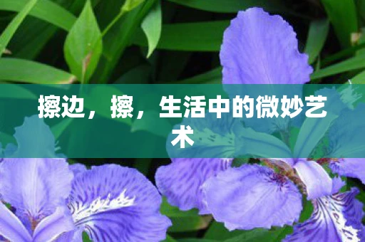 擦边,擦,生活中的微妙艺术 擦边,擦,生活中的微妙艺术