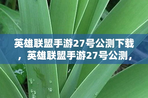 英雄联盟手游27号公测下载,英雄联盟手游27号公测,一场万众瞩目的电竞盛宴 英雄联盟手游27号公测下载,英雄联盟手游27号公测,一场万众瞩目的电竞盛宴