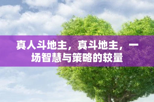 真人斗地主,真斗地主,一场智慧与策略的较量 真人斗地主,真斗地主,一场智慧与策略的较量