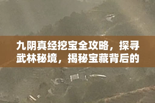 九阴真经挖宝全攻略图片