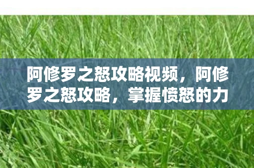 阿修罗之怒攻略视频，阿修罗之怒攻略，掌握愤怒的力量