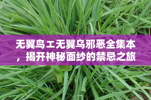 无翼鸟エ无翼乌邪恶全集本,揭开神秘面纱的禁忌之旅 无翼鸟エ无翼乌邪恶全集本,揭开神秘面纱的禁忌之旅