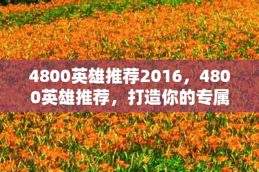 4800英雄推荐2016，4800英雄推荐，打造你的专属英雄阵容