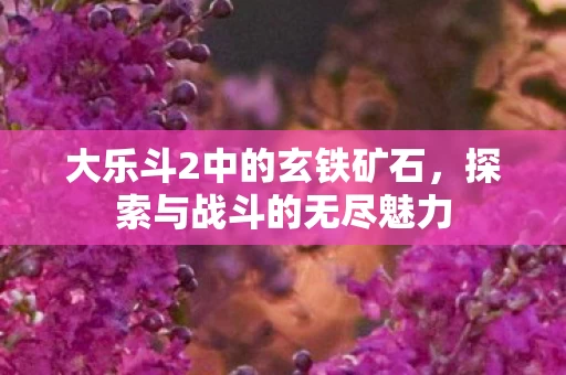 大乐斗2中的玄铁矿石图片