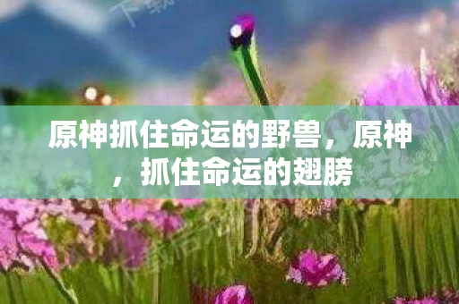 原神抓住命运的野兽，原神，抓住命运的翅膀