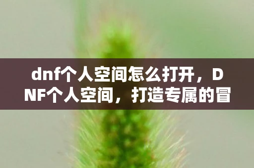 dnf个人空间怎么打开，DNF个人空间，打造专属的冒险世界