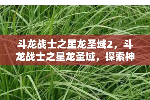 斗龙战士之星龙圣域2，斗龙战士之星龙圣域，探索神秘领域的奇幻之旅