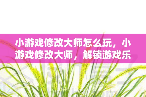 小游戏修改大师怎么玩,小游戏修改大师,解锁游戏乐趣的新钥匙 小游戏修改大师怎么玩,小游戏修改大师,解锁游戏乐趣的新钥匙