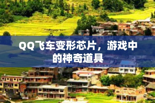 QQ飞车变形芯片图片