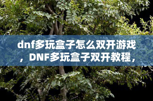 dnf多玩盒子怎么双开游戏,DNF多玩盒子双开教程,轻松实现游戏多开,打造个人专属游戏帝国 dnf多玩盒子怎么双开游戏,DNF多玩盒子双开教程,轻松实现游戏多开,打造个人专属游戏帝国