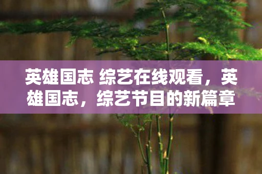 英雄国志 综艺在线观看,英雄国志,综艺节目的新篇章 英雄国志 综艺在线观看,英雄国志,综艺节目的新篇章